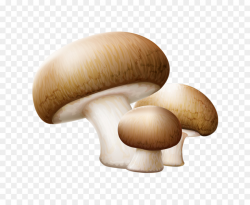 Common Mushroom Edible Mushroom Clip Art #73754 - PNG Images ...