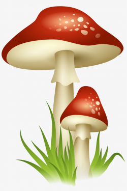 Mushrooms Drawing Enchanted - Mushroom Png - Free ...