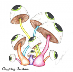 Eye See PsYcHeDeLiC Mushrooms' by CrYpToZ.deviantart.com on ...