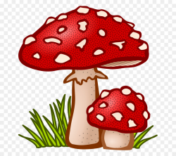 Mushroom Cloud png download - 775*800 - Free Transparent ...