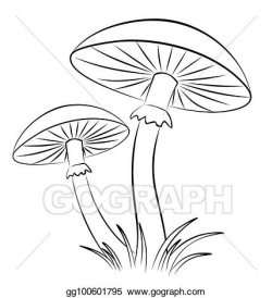 EPS Illustration - Sketch of mushrooms. Vector Clipart ...