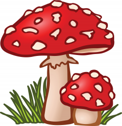 Mushrooms Clipart | Free download best Mushrooms Clipart on ...