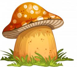 4.png | Pinterest | Mushrooms