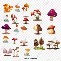 Mushroom, Cartoon Mushrooms, Color Mushrooms PNG Transparent ...