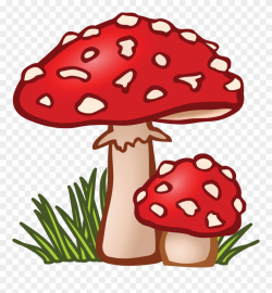 Free Clipart Of Mushrooms - Mushroom Clipart - Png Download ...