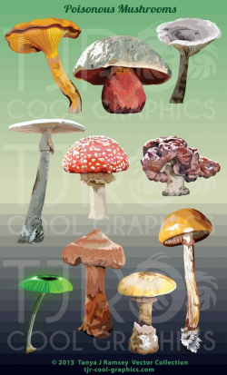 Poison Mushrooms Digital Realistic Clip Art, PNG, Printable ...