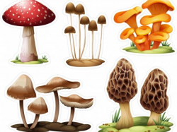 Realistic Clipart mushroom 4 - 640 X 584 Free Clip Art stock ...