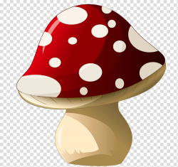 Red and white mushroom illustration, Mushroom , Mushroom ...
