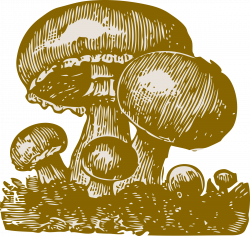 Clipart - mushrooms