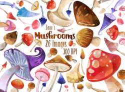 Watercolor Mushrooms Clipart - Woodland Mushroom Download - Instant  Download - Cute Mushrooms - Fantasy Shrooms - Foraging