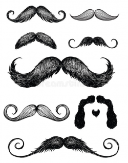 Hand drawn mustache set 2. Vector of various mustache ...