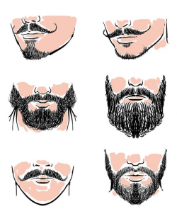 80% Off Sale Hand drawn Vector set of hipster mustache. Hand drawn beards &  mustache vector. hipster with clipping path. (EPS, JPG)