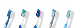 Pics Of Toothbrushes Group (56+)