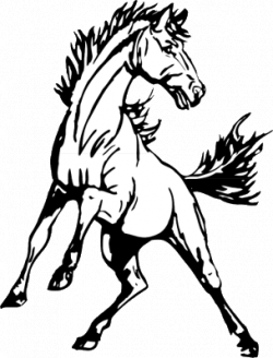Mustang Animal Clipart