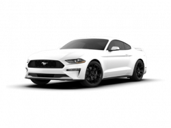 Ford Mustang in Levittown, NY | Levittown Ford LLC