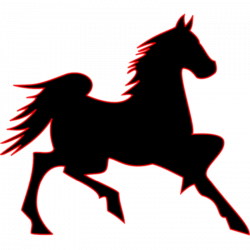 Mustang Pony Foal Clip art - Tiki Bar Clipart 800*800 transprent Png ...