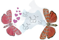 Casual Fridays at Chemical Intuition: Moth wedding gifts? — Chemical ...