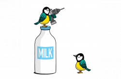 Flying High: Research Unveils Birds' Learning Power - WSJ