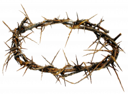 Crown Of Thorns PNG HD Transparent Crown Of Thorns HD.PNG Images ...