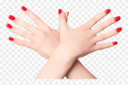 Free Png Nails Color Png Images Transparent - Nails Hand ...