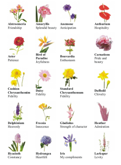 30 Flower Pictures And Names List | Pinfographics | Pinterest ...