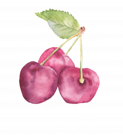 Baby's First Bites: Introducing Solids Program - Ana-Maria Janes R.H.N.