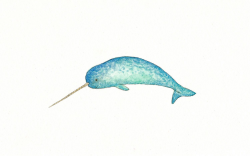 narwhal clipart - Google Search | narwal party theme | Pinterest ...