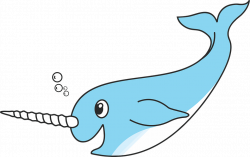 Cute Whale Png - Narwhal , Transparent Cartoon - Jing.fm