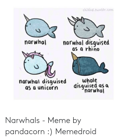 Chi Bird·humblrcom Narwhal Disguised as a Rhino Narwhal ...