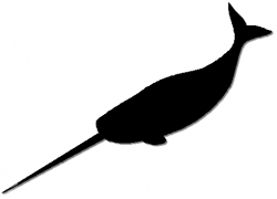 Narwhal Clip Art | Clipart Panda - Free Clipart Images