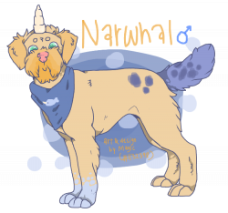 Narwhalref by magical-llama on DeviantArt