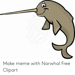 Make Meme With Narwhal Free Clipart | Meme on ME.ME