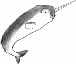 Clipart - Narwhal