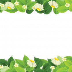 Beautiful Spring Leaves, Plant, Backdrop PNG and Vector for Free ...