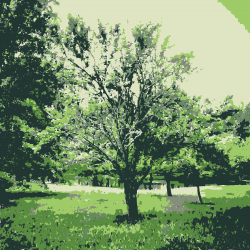 Clipart - Green nature 1