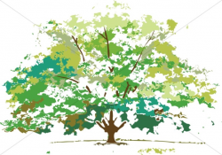 Summer Foliage Maple Tree | Nature Clipart