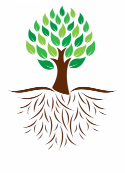 Nature - Tree Clipart With Roots - roots png, Free PNG ...