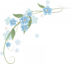 1 (17).png | Flower clipart and Album