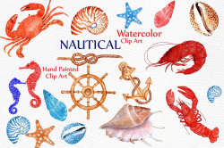 Seashell Nautical Watercolor Clipart