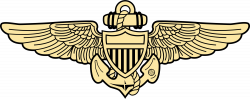 File:Naval aviation insignia.svg - Wikimedia Commons