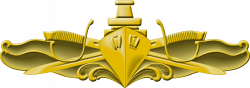 File:Surface Warfare Officer Insignia.png - Wikimedia Commons