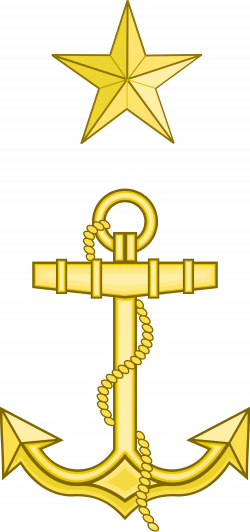 File:Texas Navy Passed Midshipman Insignia.svg - Wikimedia Commons