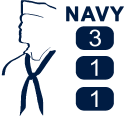 NAVY 311 Resources Web Page
