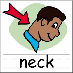 Clip Art: Basic Words: Neck Color Labeled I abcteach.com | abcteach