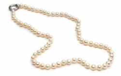 Download string of pearls clipart Pearl Clip art | Necklace ...