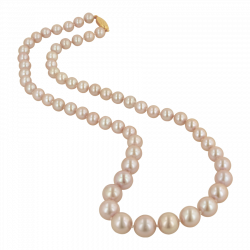 Pearl necklace png clipart images gallery for free download ...