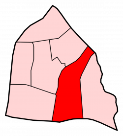 Orcasur - Wikipedia
