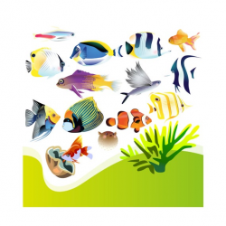 Aquarium Clip Art - Aquarium Clipart, Clip Art Aquarium, Clipart Aquarium,  Fish Clip Art, Fish Clipart, Angel Fish, Puffer Fish, Nemo, Dory