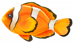 fish png - Free PNG Images | TOPpng