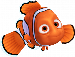 Finding Nemo Marlin Pixar Clip art - nemo 2008*1525 transprent Png ...